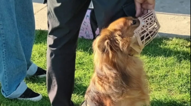 Ya tiene fecha y lugar la nueva jornada de Castración Masiva de mascotas