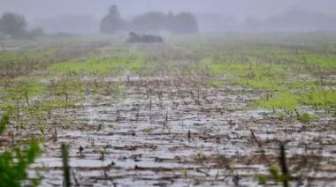 "Los suelos han sufrido diferentes cambios por los anegamientos”