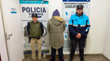 Rescataron tres pitbulls y detuvieron al acusado de maltrato animal tras una investigación iniciada con cámaras del COM