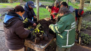 El Vivero Municipal, un trabajo de años para hacer crecer una ciudad más verde