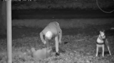 Firmeza contra el maltrato animal: el Municipio denunció penalmente un hecho detectado por el COM