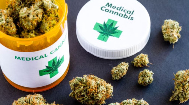 Brindarán una charla gratuita sobre cannabis medicinal y derecho a la salud en Necochea