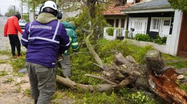 Evacuados, crecida del río Quequén, postes caídos y cortes de luz por el temporal en el Partido de Necochea
