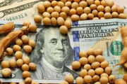 Ya rige el nuevo dólar soja y el Gobierno analiza el impacto en el blue