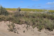 Se acerca la declaración de Emergencia Agropecuaria para el partido de Necochea