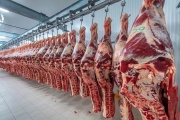 El Gobierno cerró por 15 días las exportaciones de carne vacuna