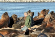 Proteccionista local hizo un descargo acerca de la situación de la colonia de lobos marinos
