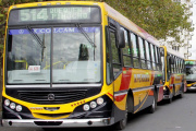 Adhesión a la gratuidad del transporte urbano en jornadas electorales