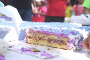 El corte de la torta convoca a toda la familia necochense y turistas para el próximo domingo