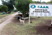 Alerta en el CAAN: la protectora de animales de Necochea atraviesa una crisis económica crítica
