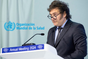 Tras salir de la OMS, Argentina apuesta a un modelo propio con eje en la cooperación regional