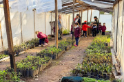 Vivero Municipal, un espacio clave para el desarrollo urbano-ambiental y el aprendizaje de las nuevas generaciones