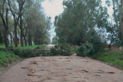 Alerta para vecinos de Villa Florida y Villa del Deportista por riesgos ante el temporal