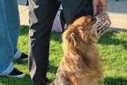 Ya tiene fecha y lugar la nueva jornada de Castración Masiva de mascotas