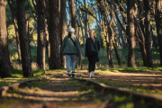 Se prepara un fin de semana largo de actividades para toda la familia en Necochea y Quequén