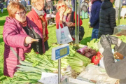Mercados Bonaerenses convocó a vecinos y turistas en el Parque