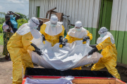 Alerta por ébola: Argentina activa protocolos especiales en puertos y aeropuertos