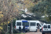 Los primeros detalles oficiales de la muerte del Indio Solari: lo encontró su cuidadora al lado de la pileta