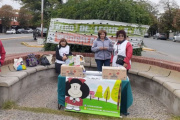 Jornada solidaria: recolectaron más de 1.000 litros de leche y espectáculos artísticos