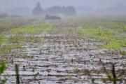 "Los suelos han sufrido diferentes cambios por los anegamientos”