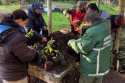 El Vivero Municipal, un trabajo de años para hacer crecer una ciudad más verde