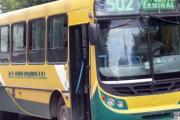 Colectivos: Nueva Pompeya no aceptará la prórroga y Transportes Necochea si