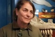 Una atractiva propuesta para los niños y los adultos