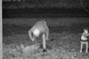 Firmeza contra el maltrato animal: el Municipio denunció penalmente un hecho detectado por el COM