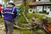 Evacuados, crecida del río Quequén, postes caídos y cortes de luz por el temporal en el Partido de Necochea