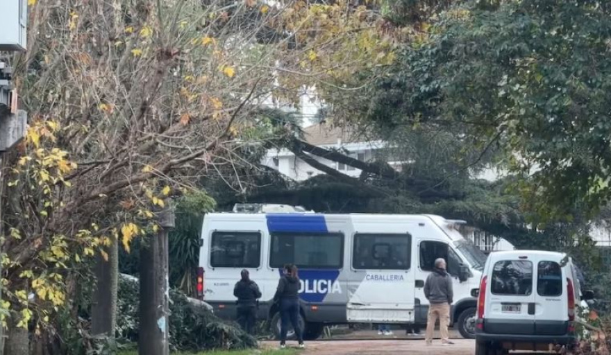 Los primeros detalles oficiales de la muerte del Indio Solari: lo encontró su cuidadora al lado de la pileta