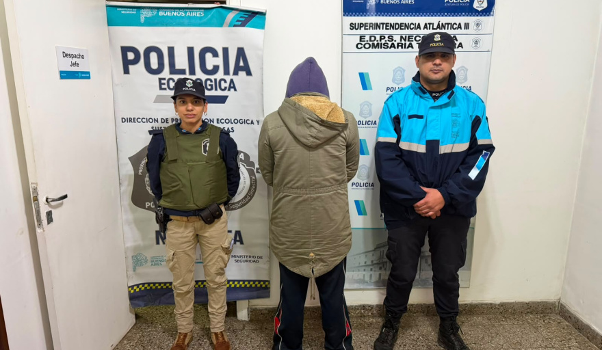 Rescataron tres pitbulls y detuvieron al acusado de maltrato animal tras una investigación iniciada con cámaras del COM